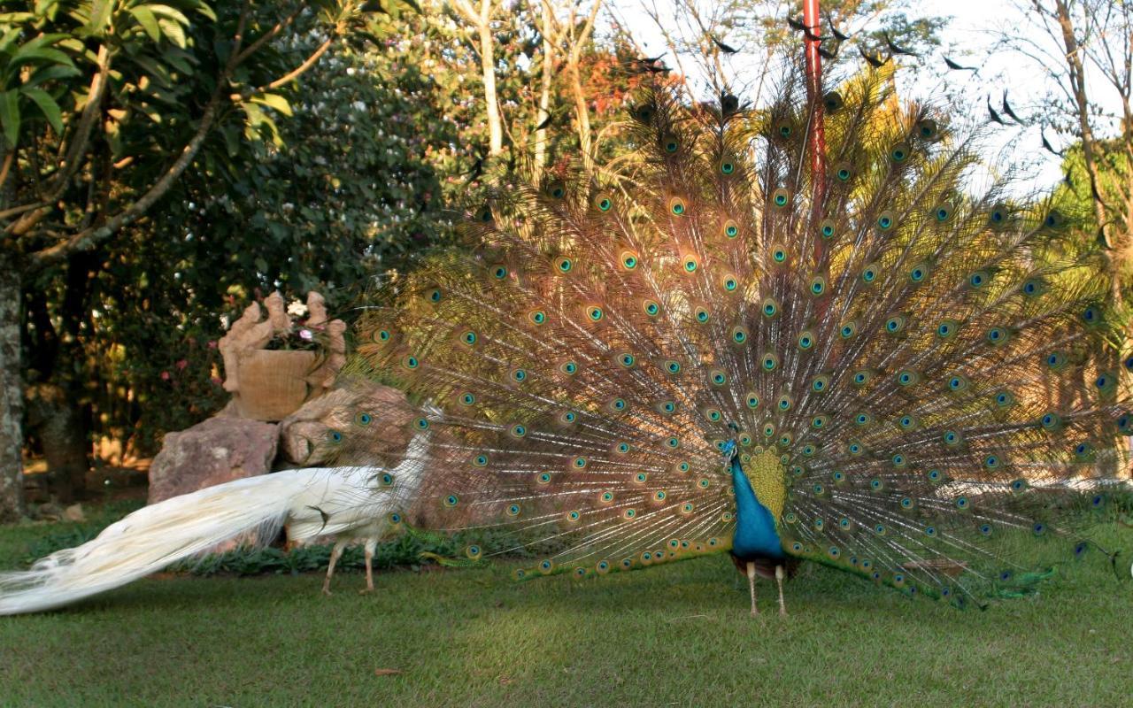 Villa Buonabitacolo São João del Rei Exterior foto